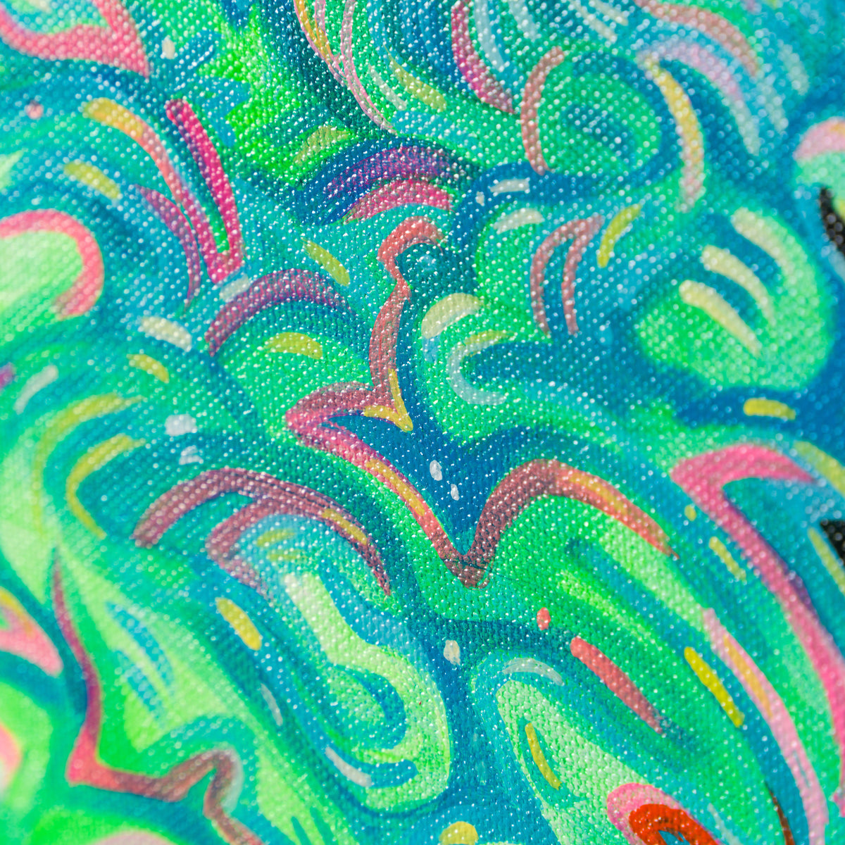 BOX ORI WWL 28389 8 Eternity 