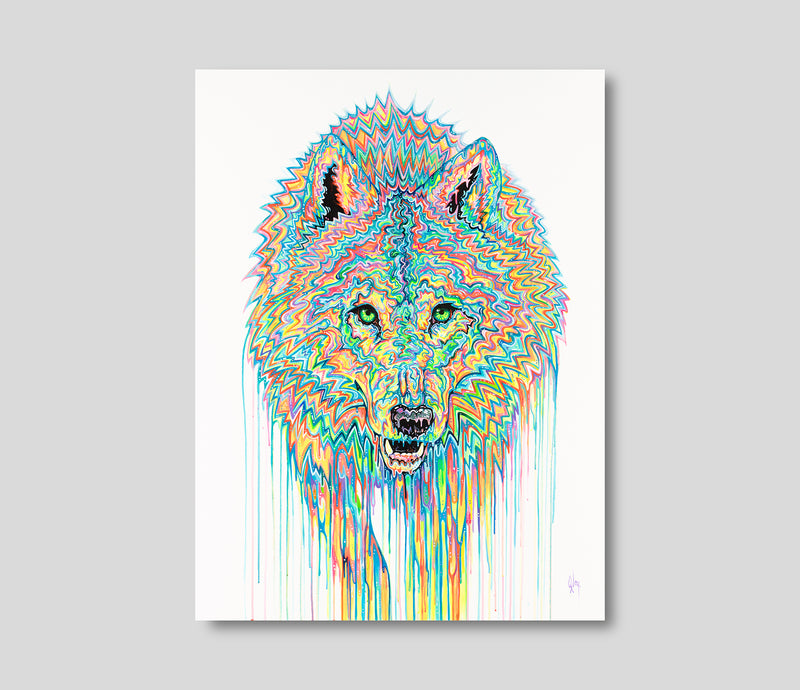 BOX ORI WWL 28549 1 Kainnu 