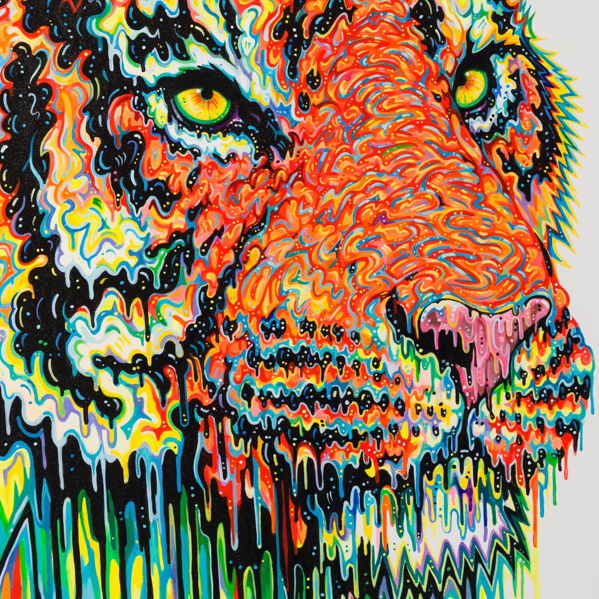 BOX ORI WWL 28851 5 Parlana 