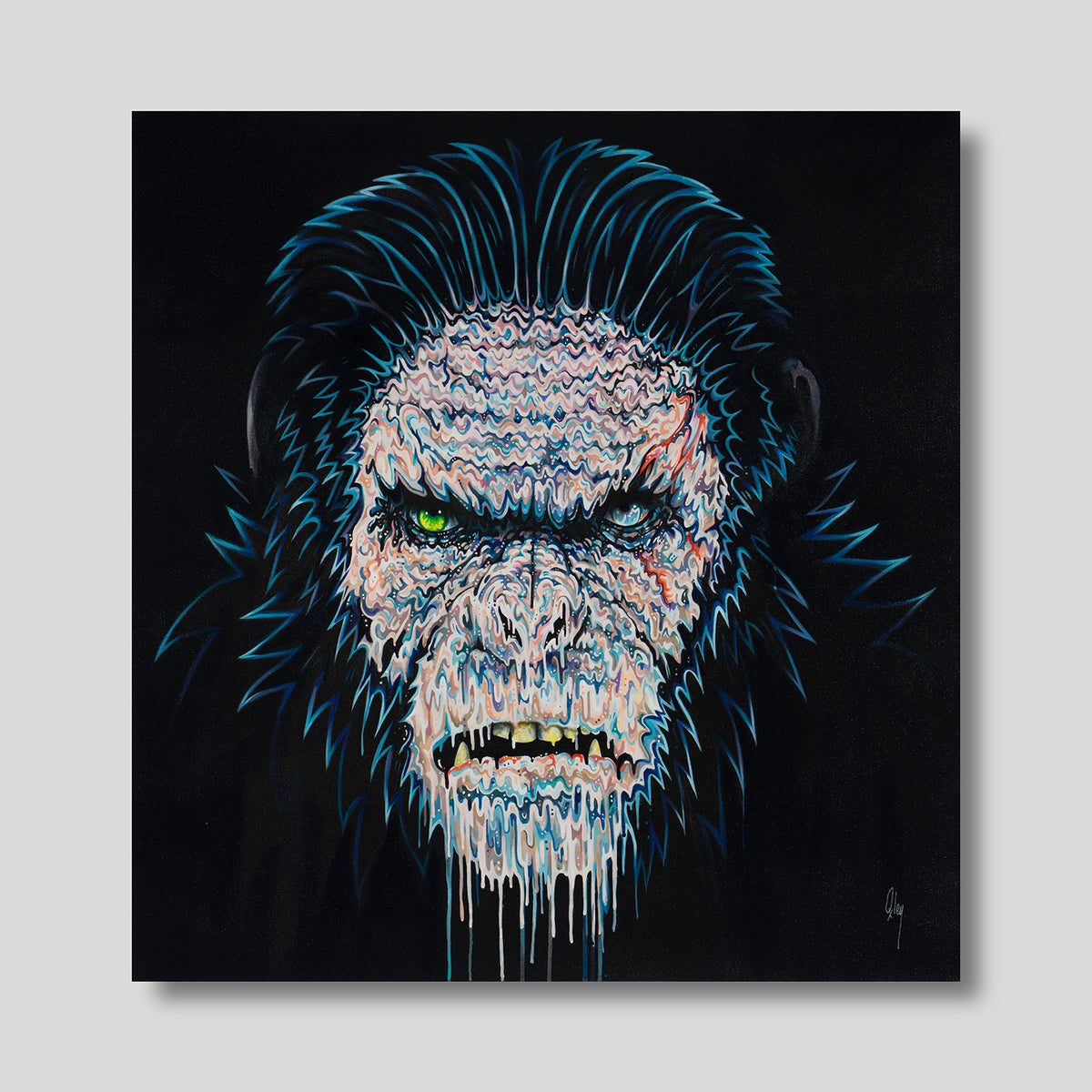 BOX ORI WWL 29344 1 Koba 