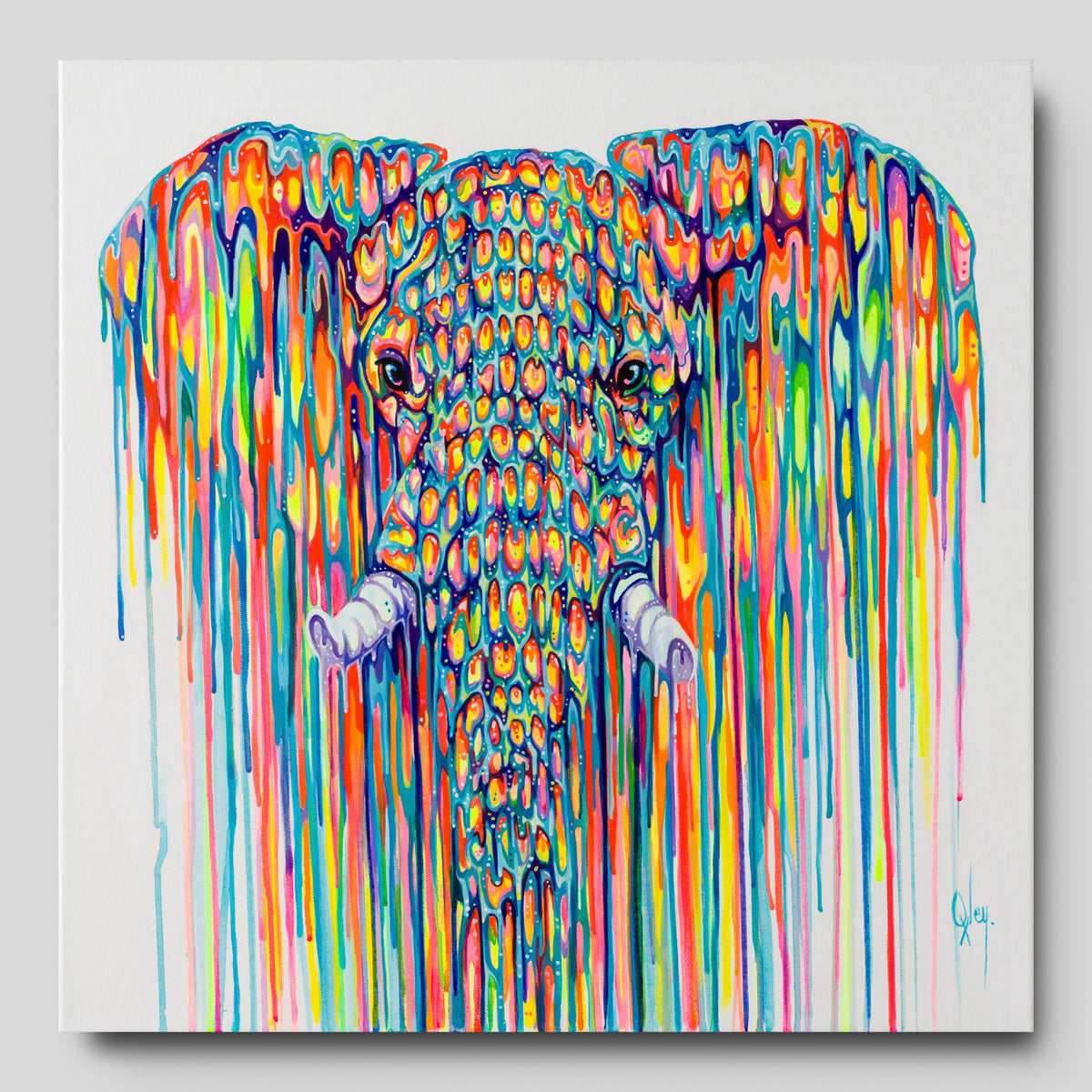 BOX ORI WWL 30085 1 Queenie 