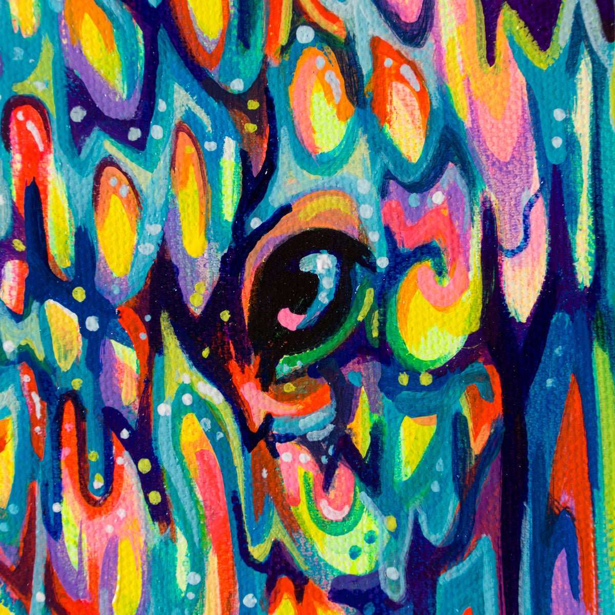 BOX ORI WWL 30085 4 Queenie 