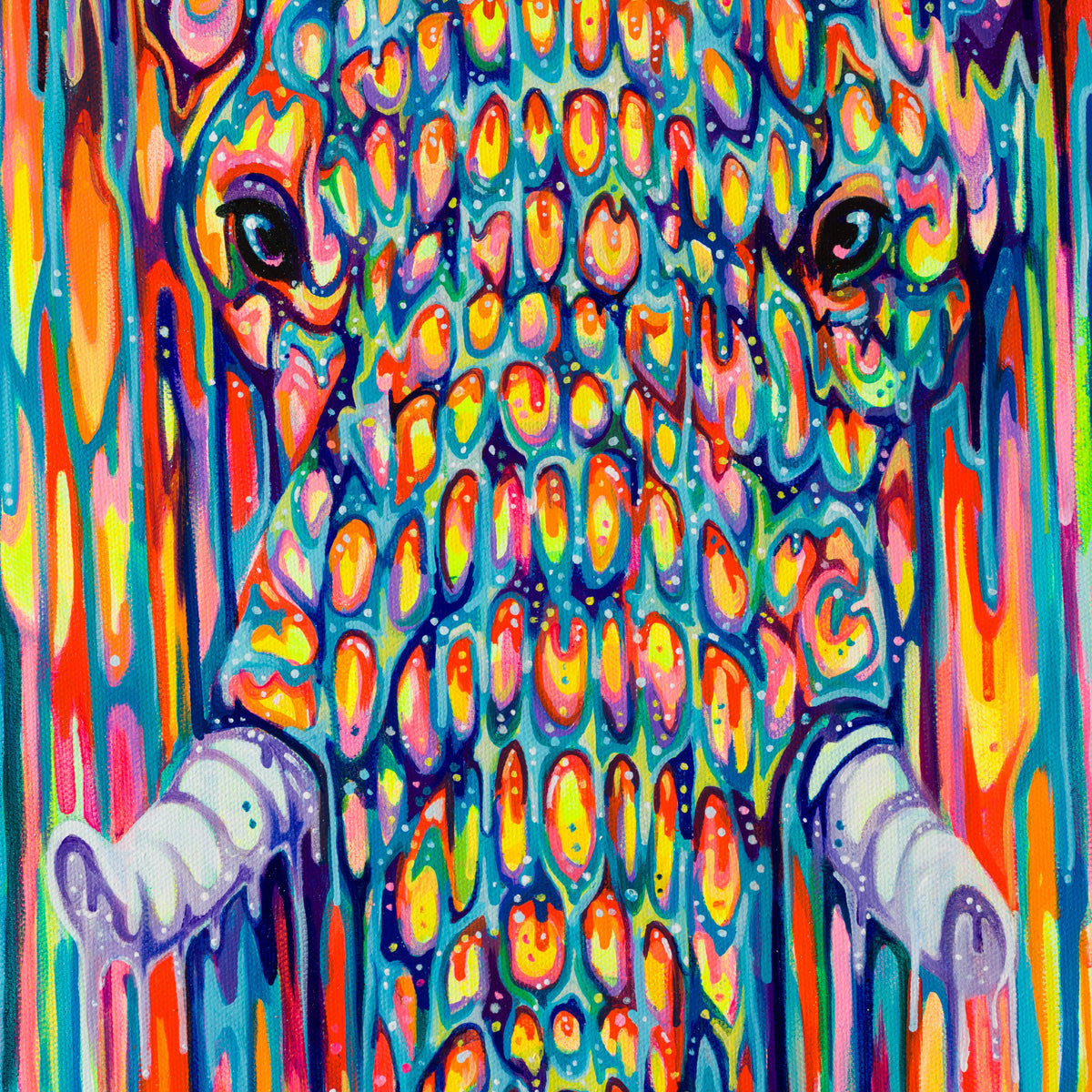 BOX ORI WWL 30085 6 Queenie 