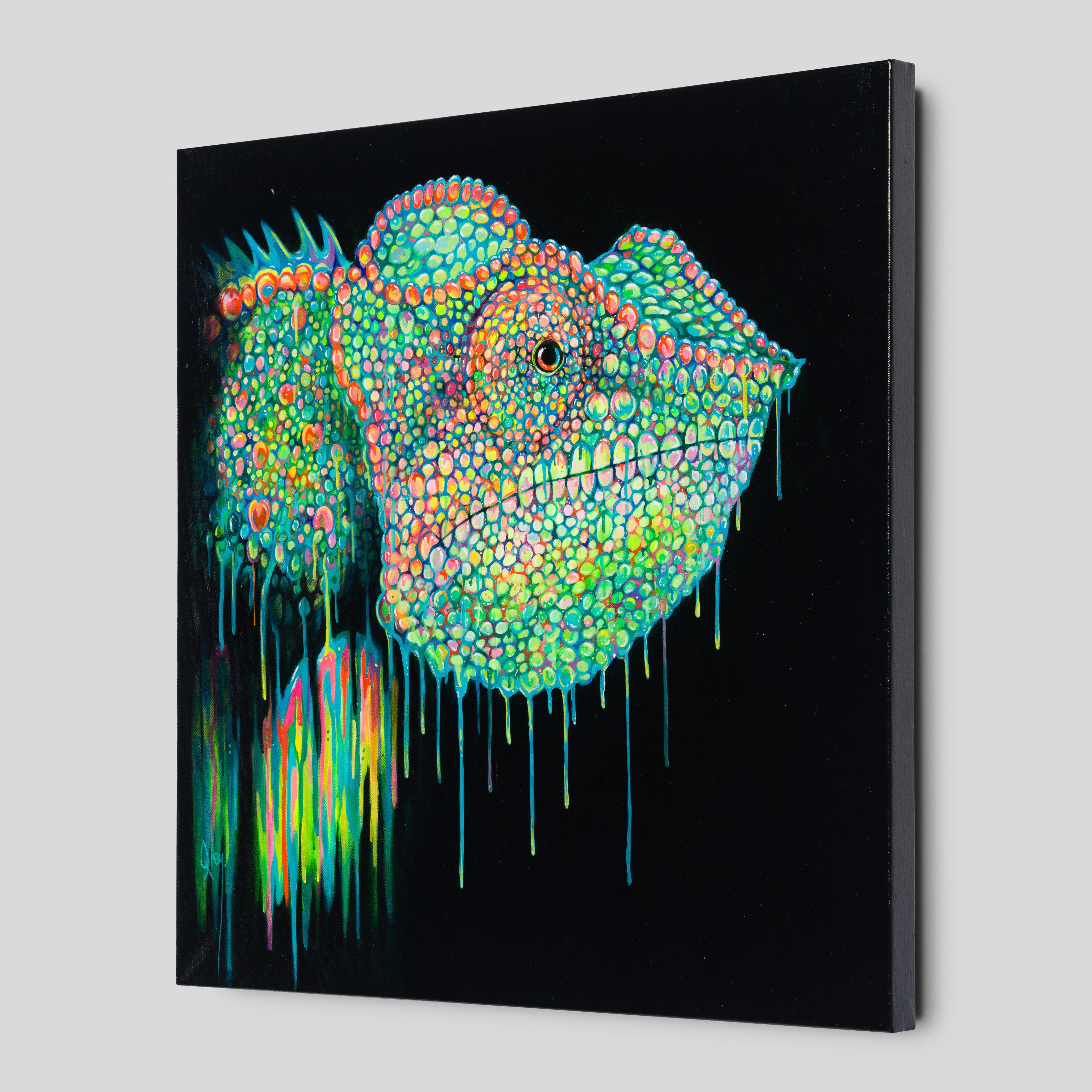 BOX ORI WWL 30088 2 Buzz 