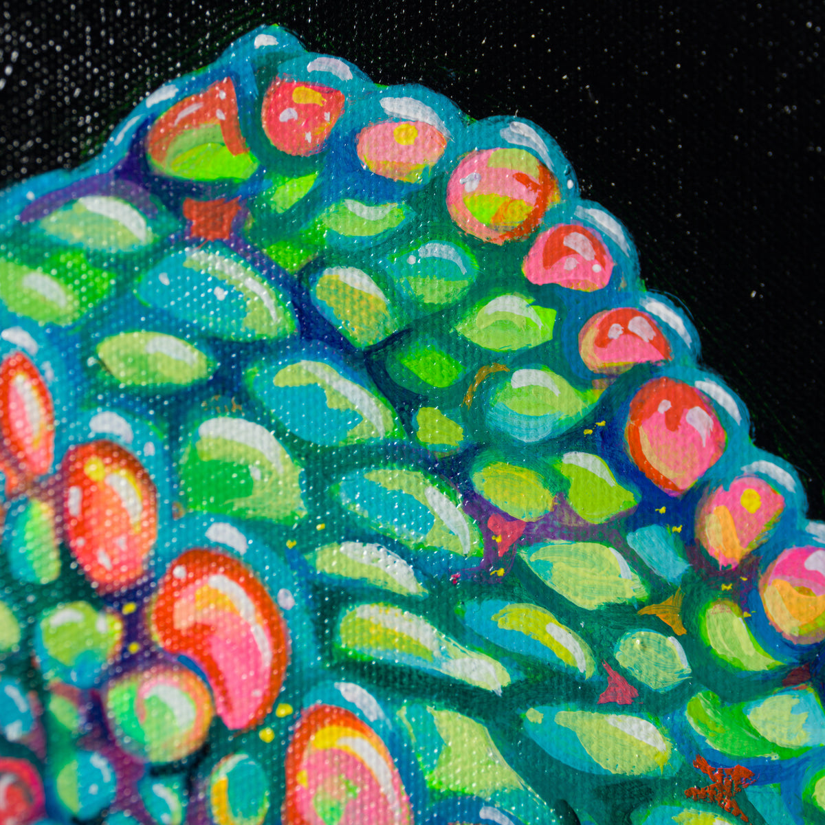 BOX ORI WWL 30088 7 Buzz 