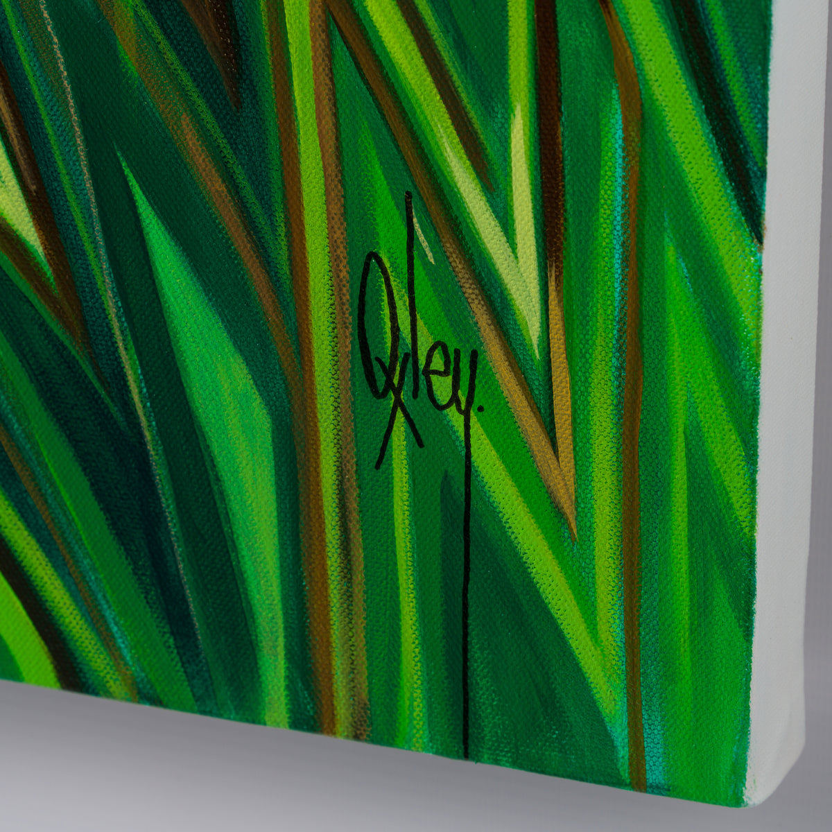 BOX ORI WWL 30323 5 Cyprus 