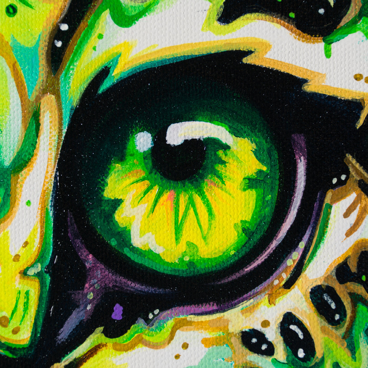 BOX ORI WWL 30324 5 Phthalo 