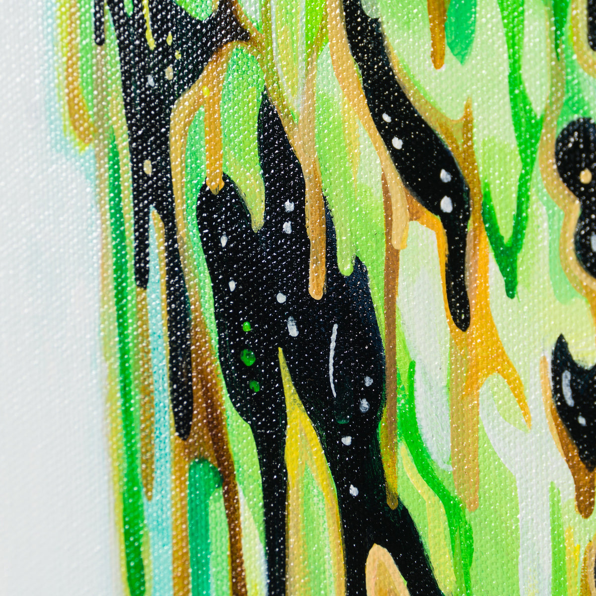 BOX ORI WWL 30324 6 Phthalo 