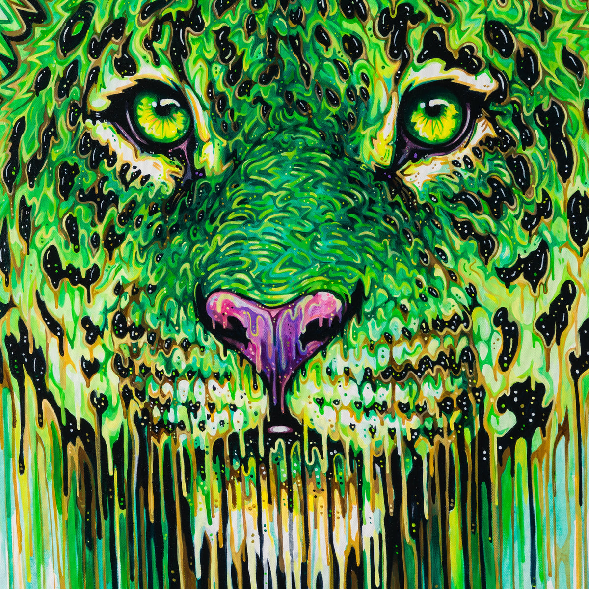 BOX ORI WWL 30324 7 Phthalo 