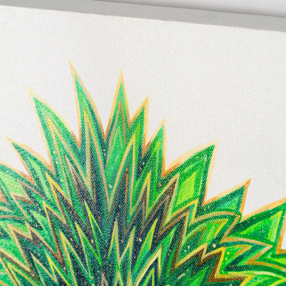 BOX ORI WWL 30325 Malachite 5 