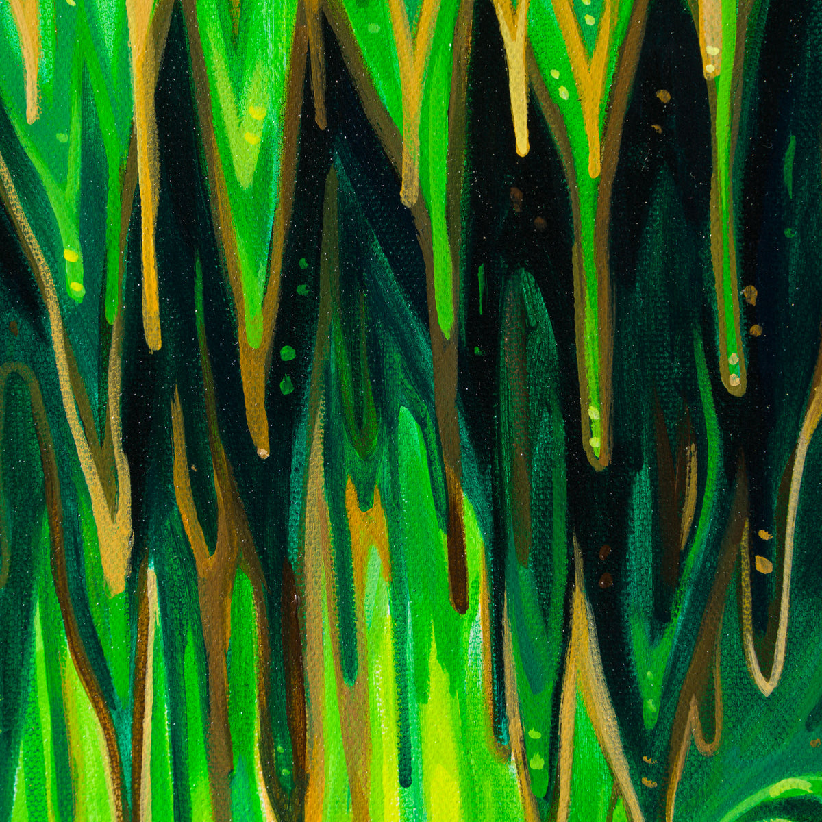 BOX ORI WWL 30325 Malachite 6 