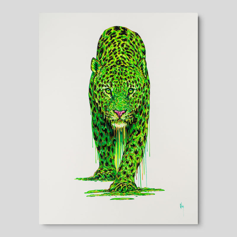 BOX ORI WWL 30326 Sage 1 