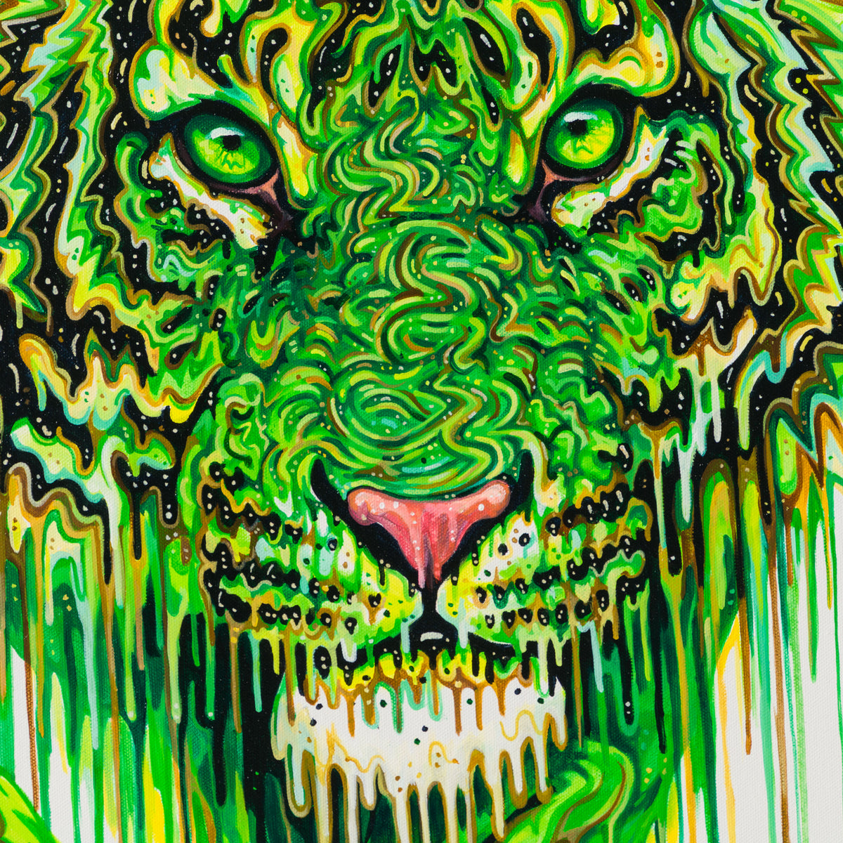 BOX ORI WWL 30327 Basil 5 