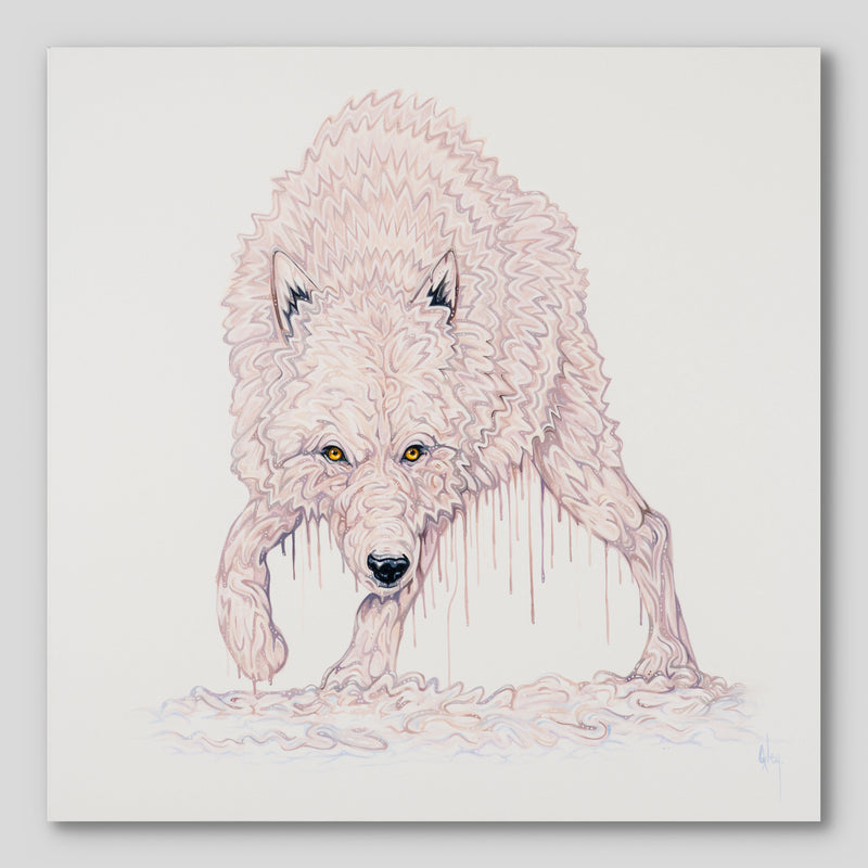 BOX ORI WWL 30827 Luka 1 