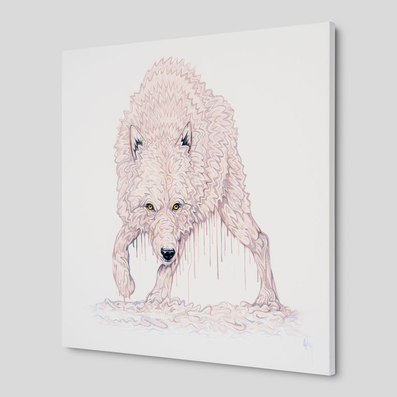 BOX ORI WWL 30827 Luka 2 