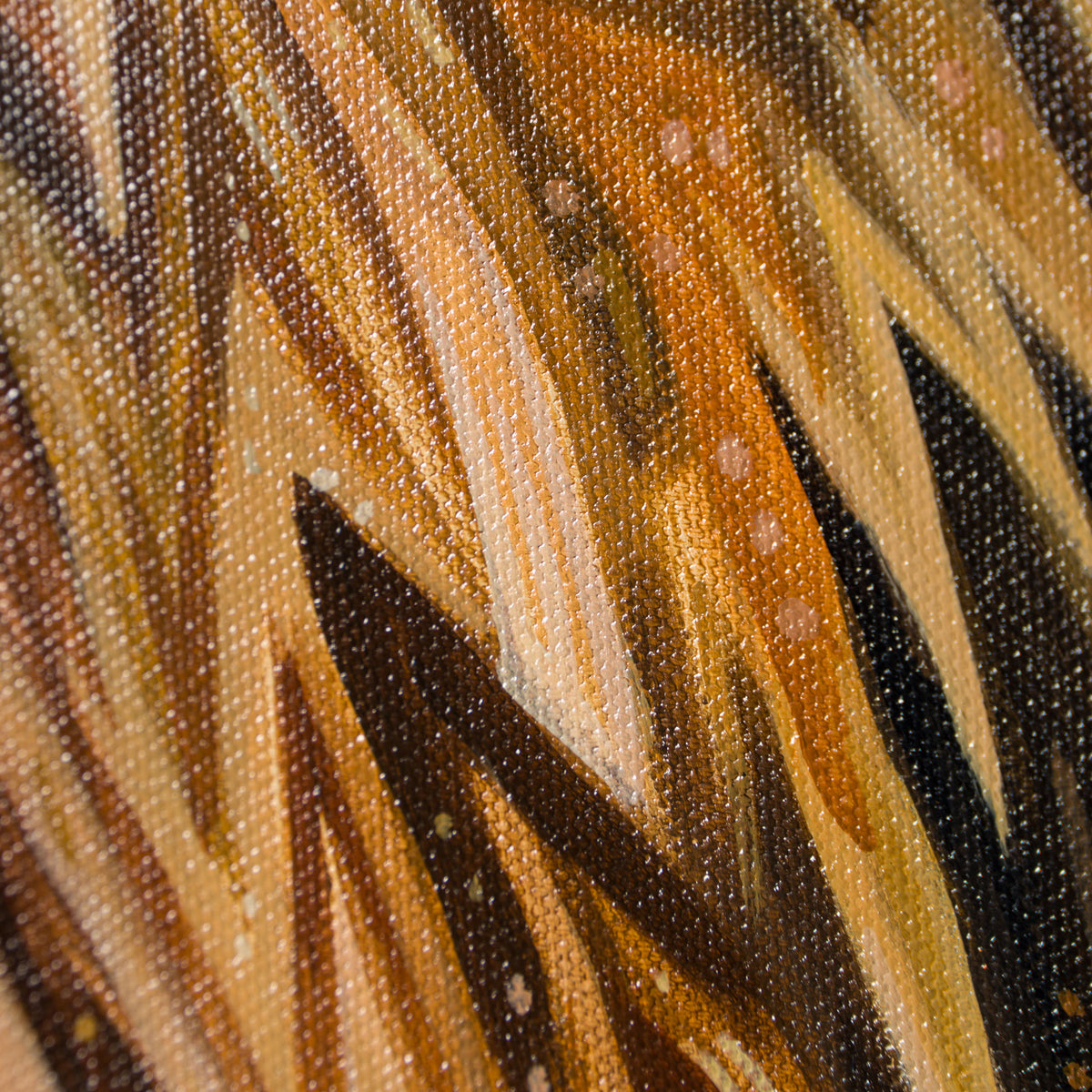 BOX ORI WWL 30831 Nelson 7 