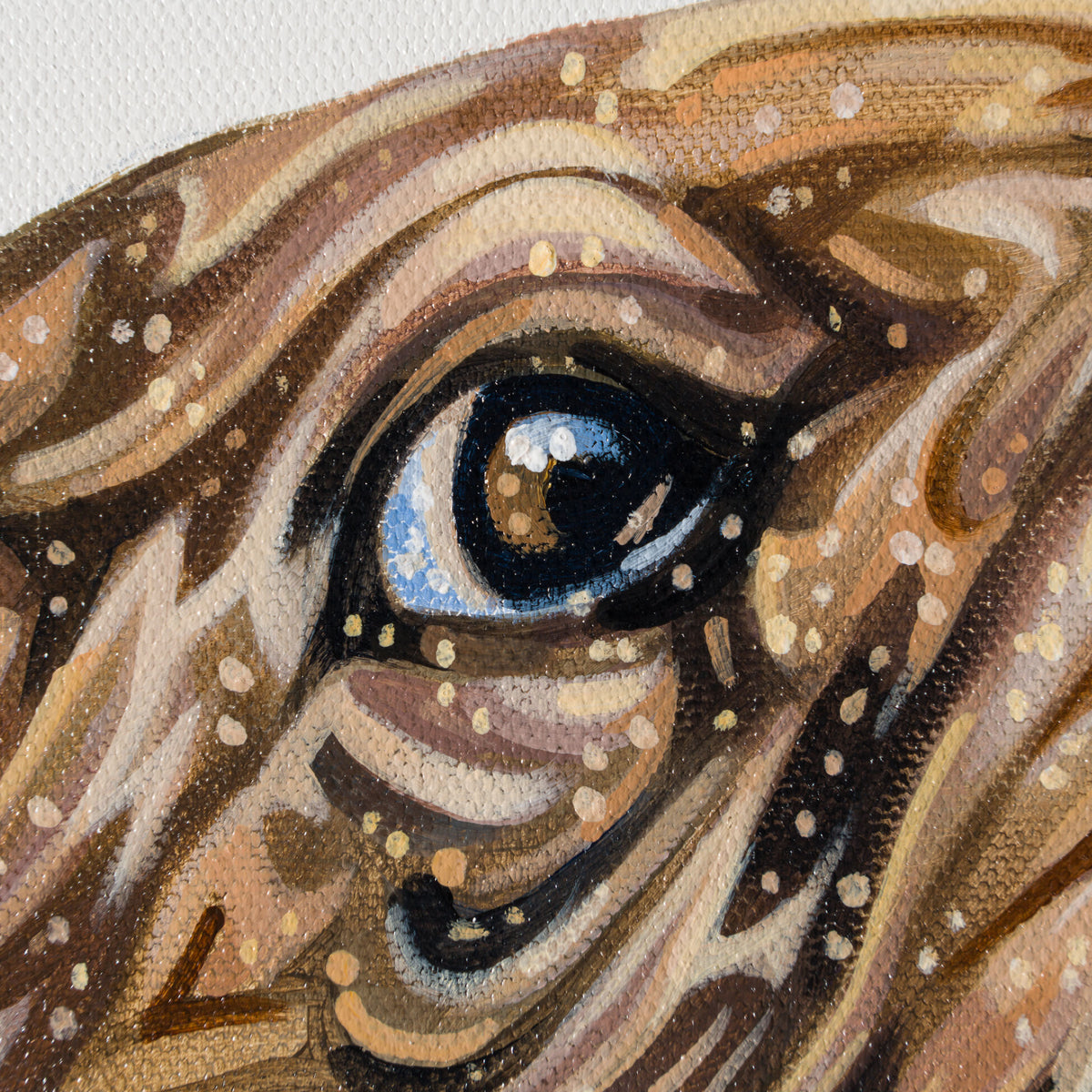 BOX ORI WWL 30832 Stella 4 