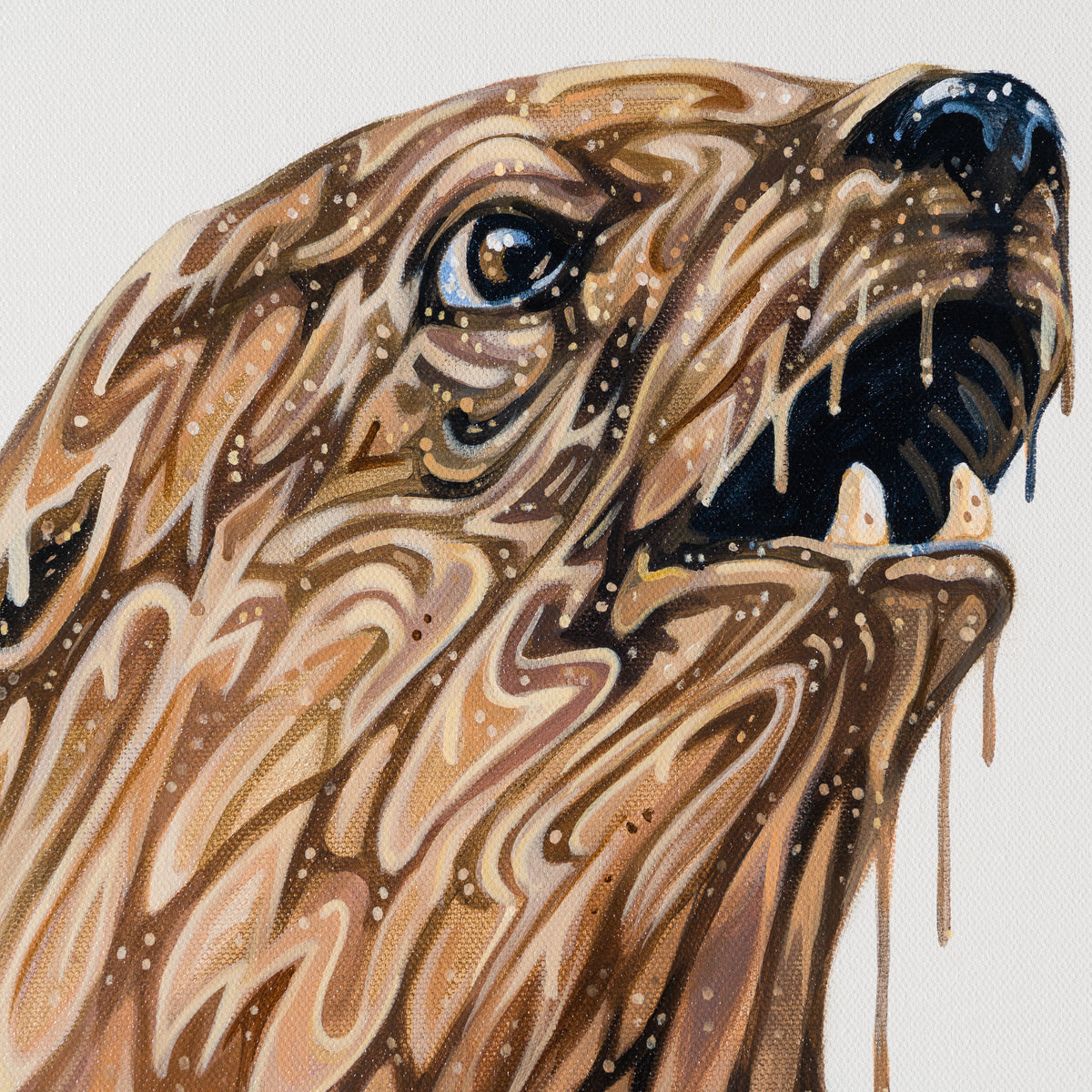 BOX ORI WWL 30832 Stella 5 