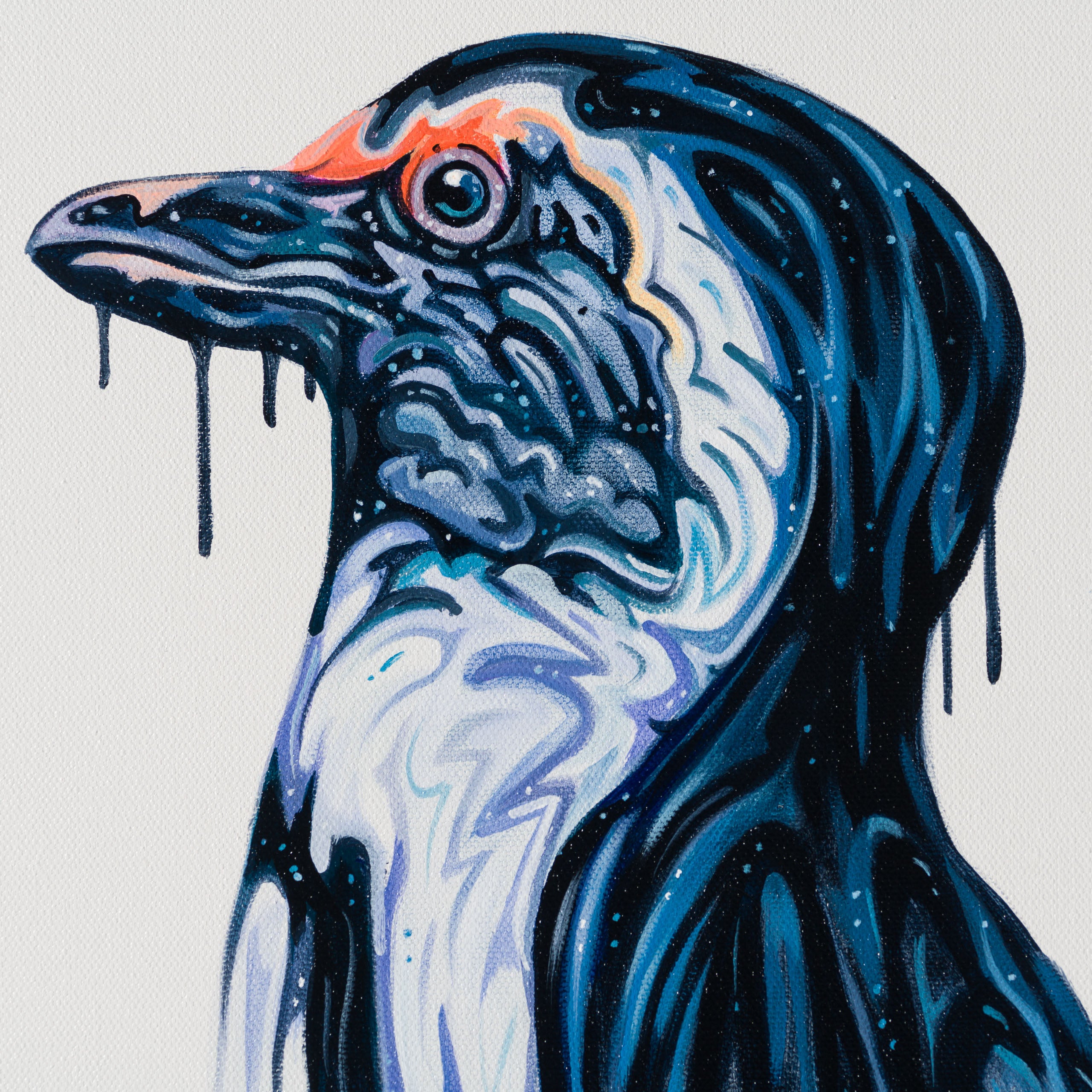 BOX ORI WWL 30835 Walk This Way 5 