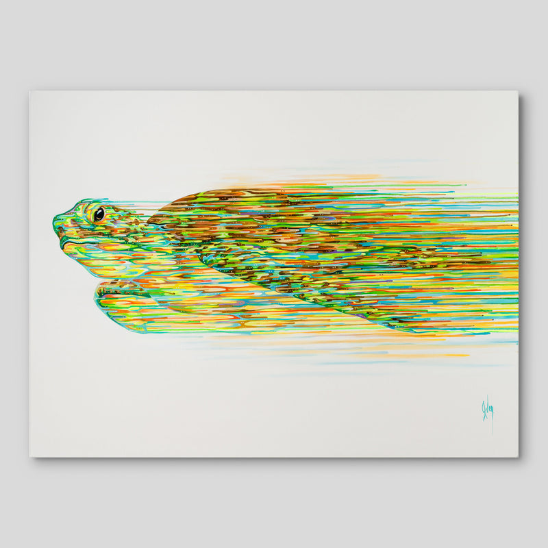 BOX ORI WWL 31218 Nautilus 1 