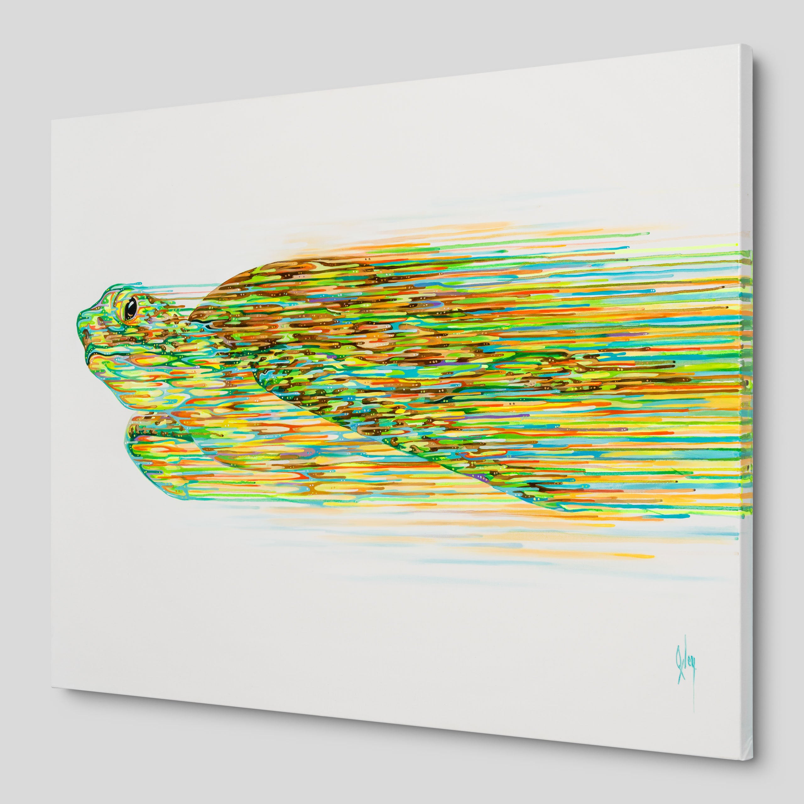 BOX ORI WWL 31218 Nautilus 2 