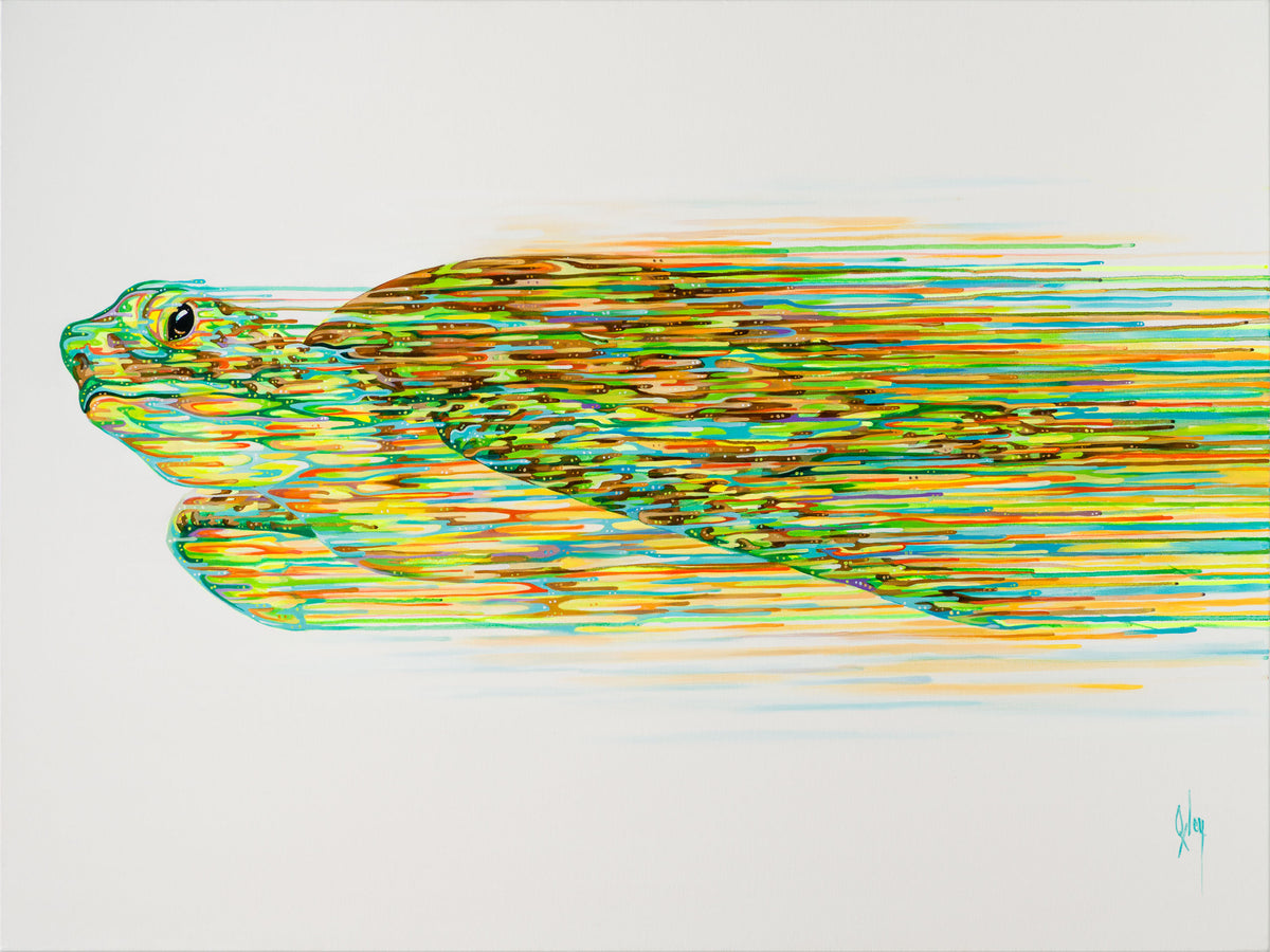 BOX ORI WWL 31218 Nautilus 30 