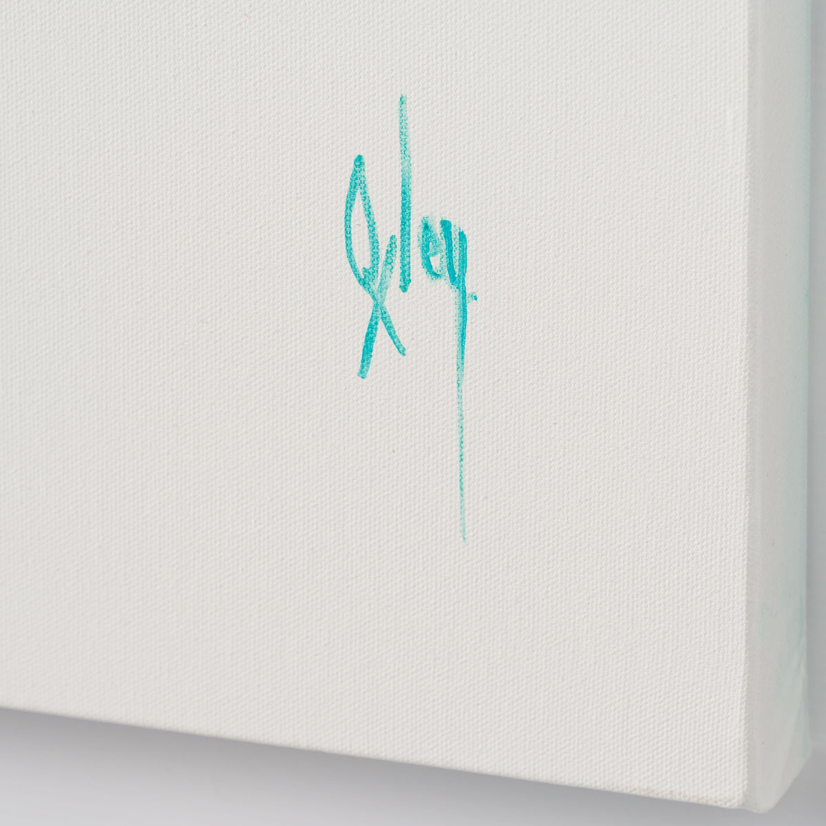 BOX ORI WWL 31218 Nautilus 3 