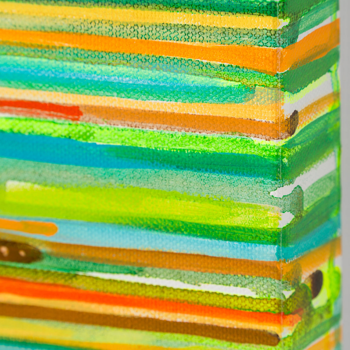 BOX ORI WWL 31218 Nautilus 4 