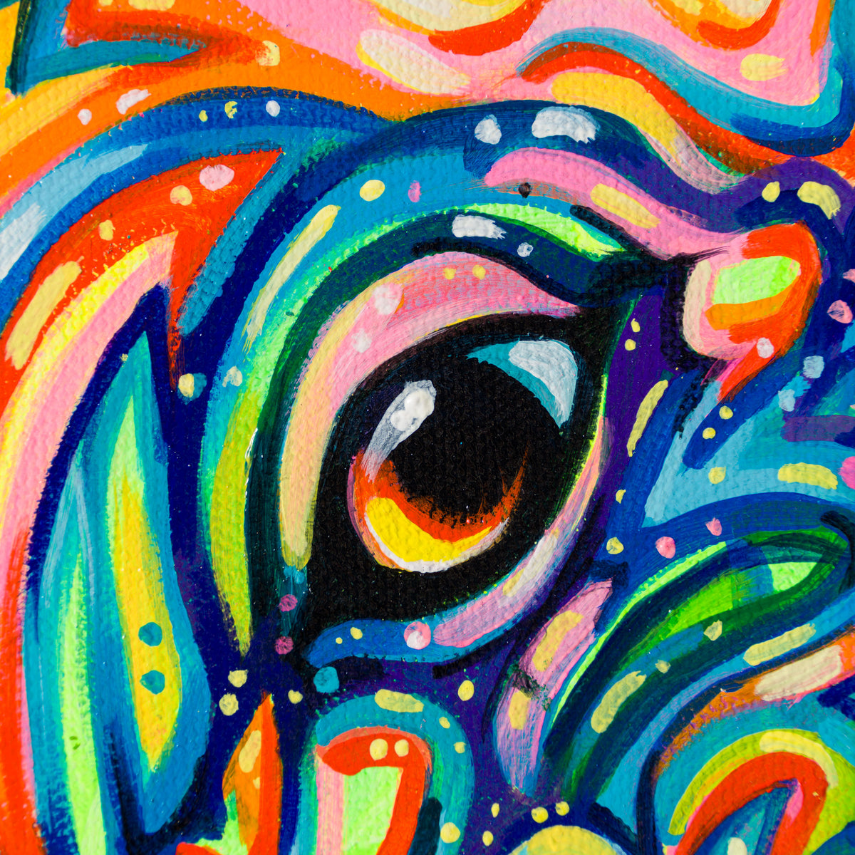 BOX ORI WWL 31221 Dutton 5 