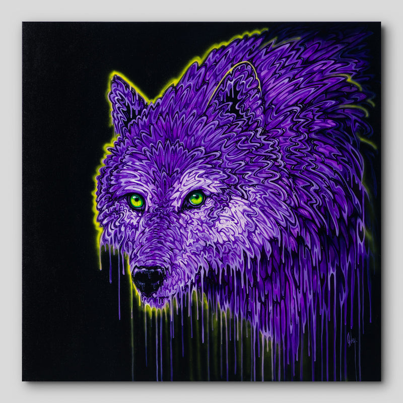 BOX ORI WWL 31573 Amethyst 1 