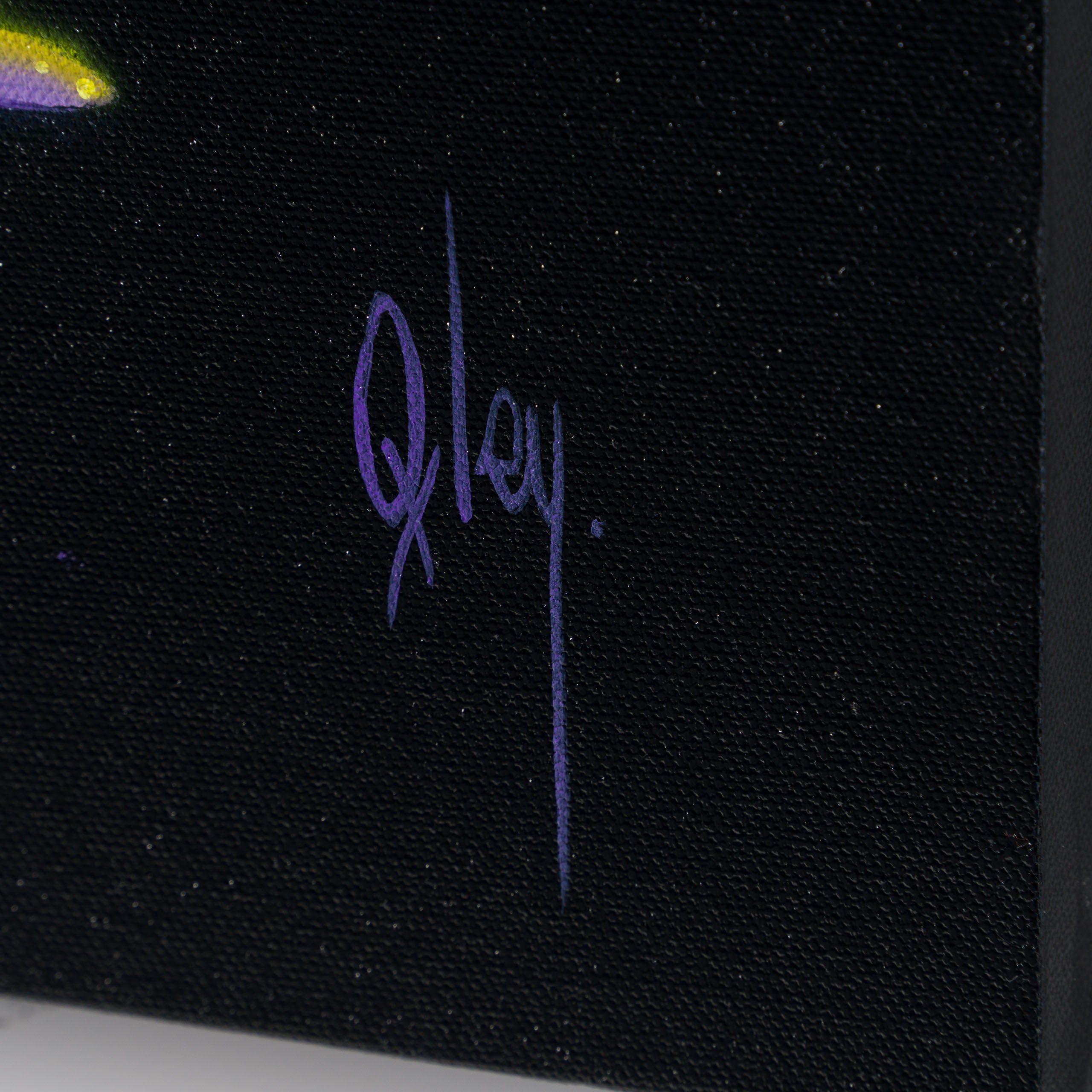 BOX ORI WWL 31574 Fischer 3 