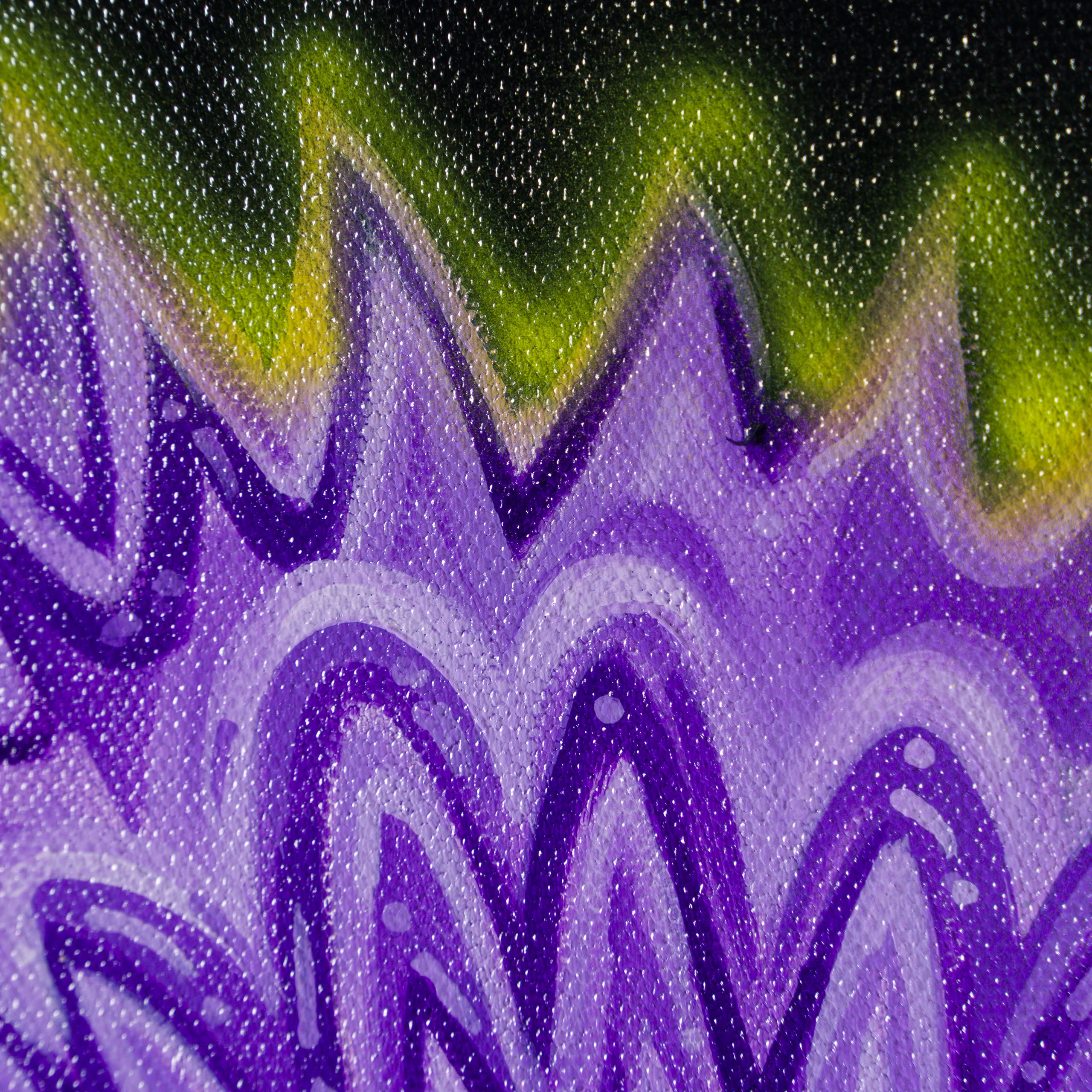 BOX ORI WWL 31574 Fischer 6 