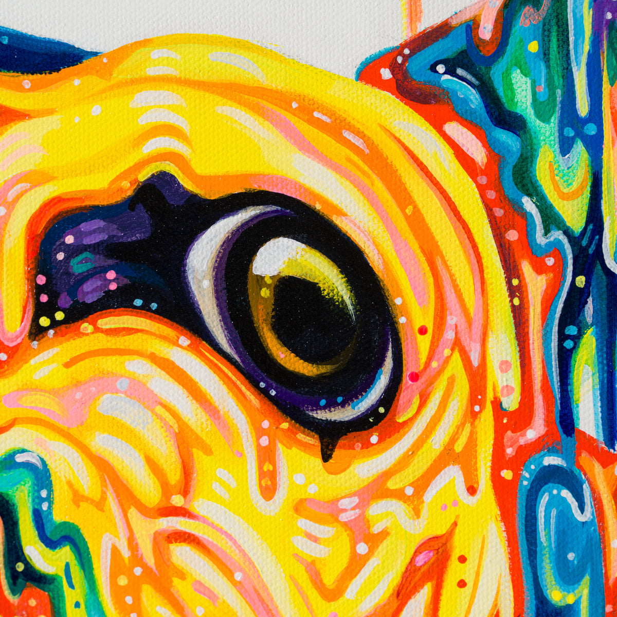 BOX ORI WWL 31911 Reverie 4 