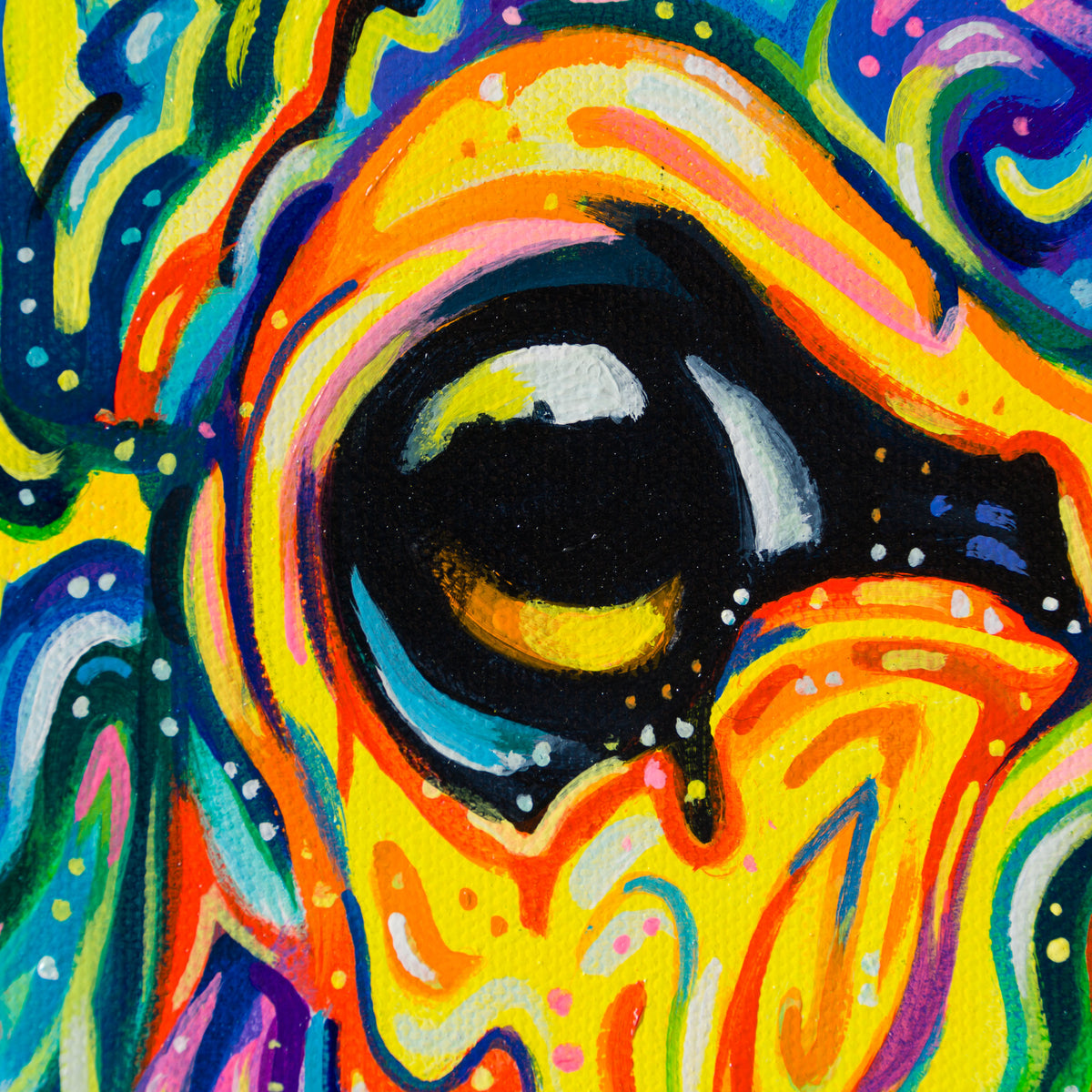 BOX ORI WWL 31912 Spectralia 4   Copy 