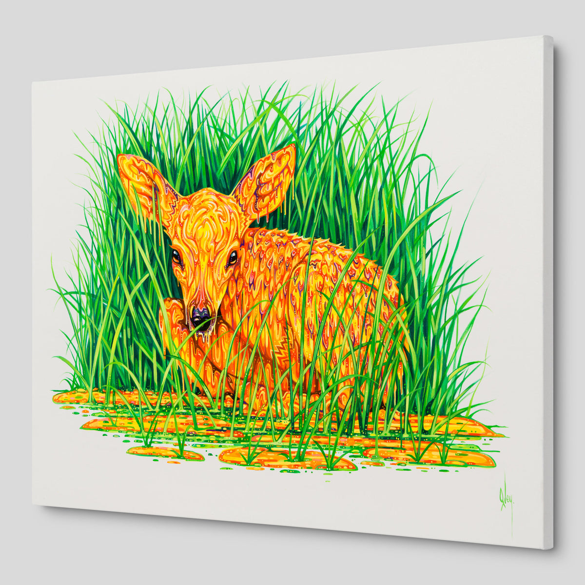 BOX ORI WWL 31914 Whispers 2 