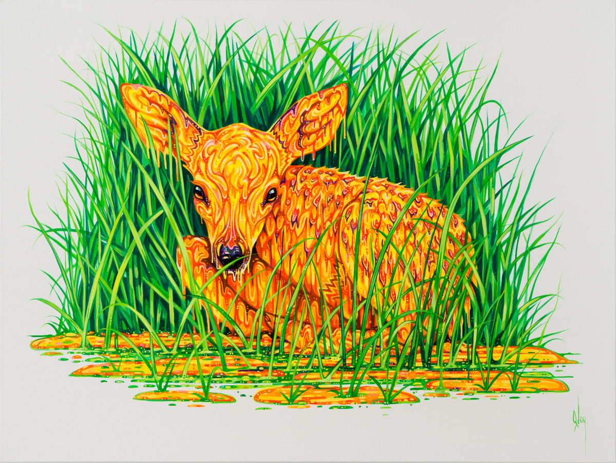 BOX ORI WWL 31914 Whispers 30 