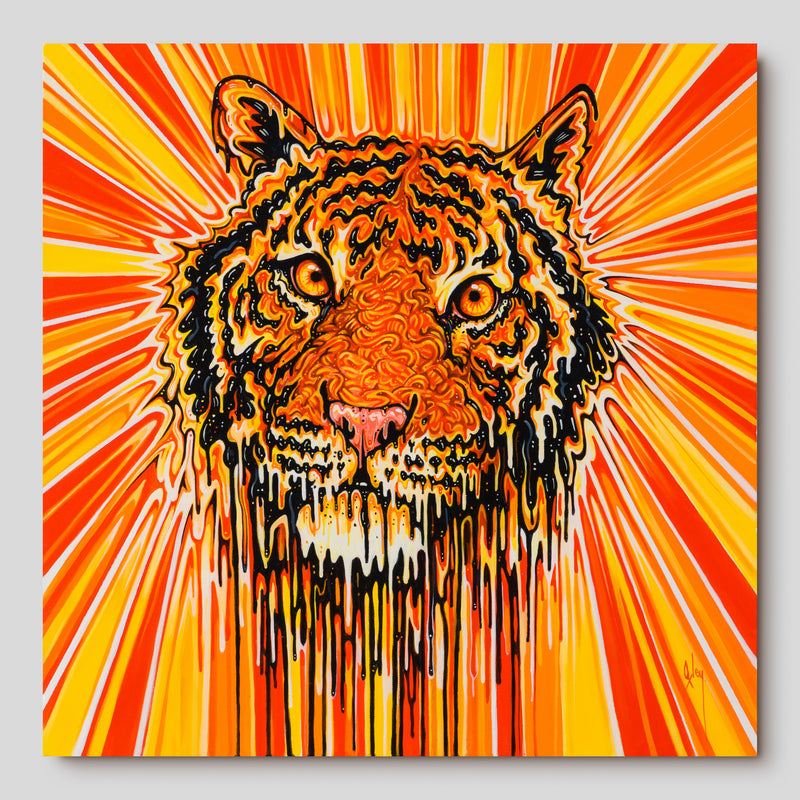 BOX ORI WWL 31915 Laser Fury 1 