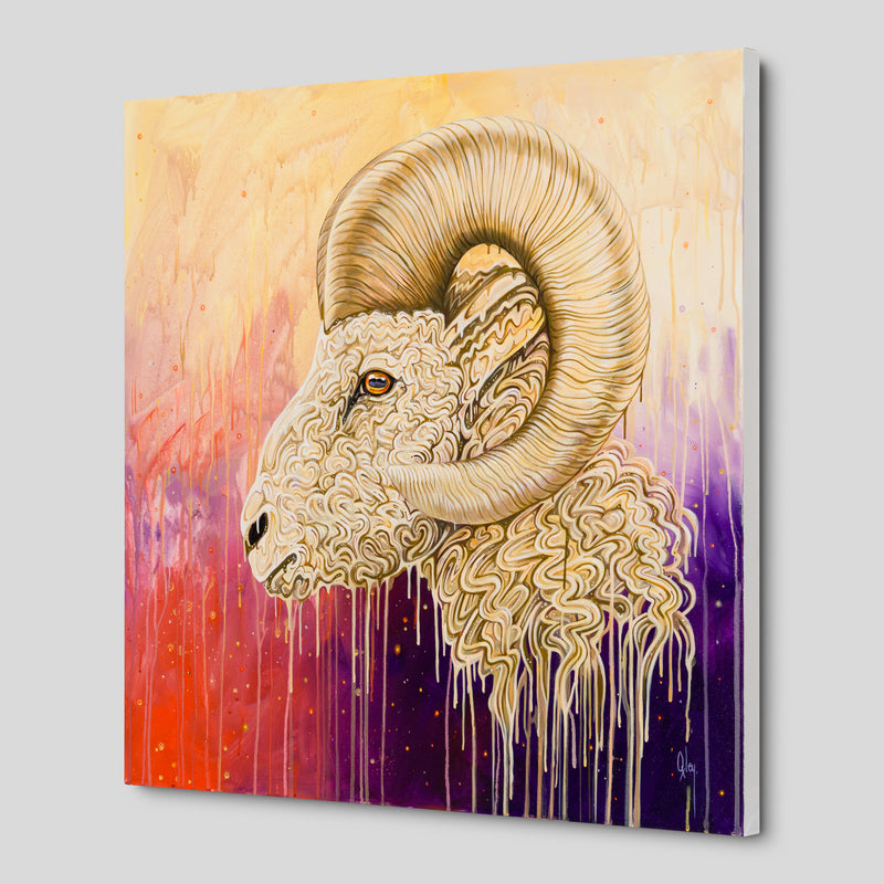 BOX ORI WWL 31916 Cosmos 2 