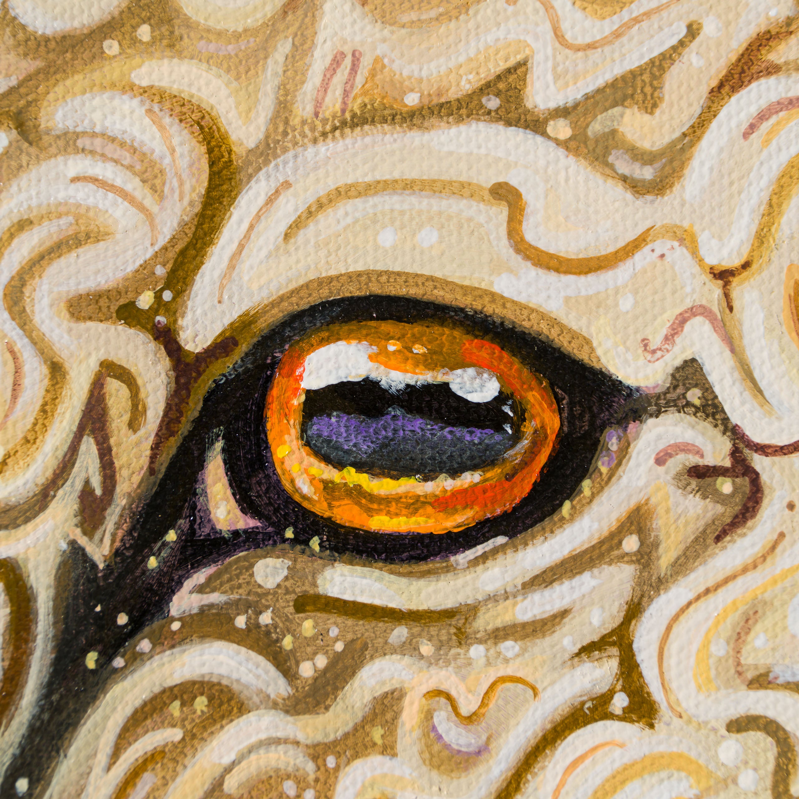 BOX ORI WWL 31916 Cosmos 4 