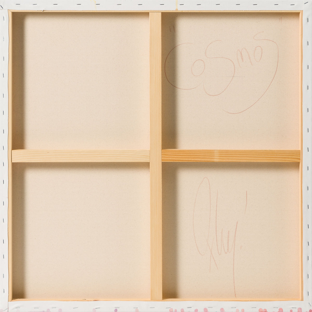 BOX ORI WWL 31916 Cosmos 8 