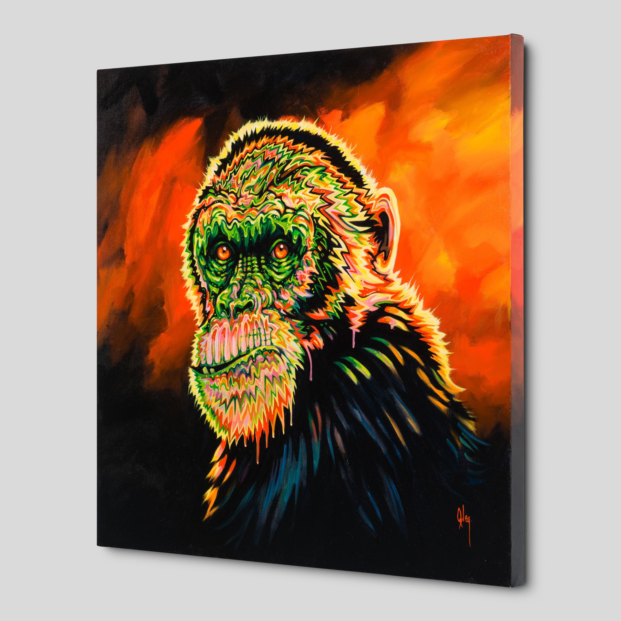 BOX ORI WWL 32325 Basil Is A Gogo 2 