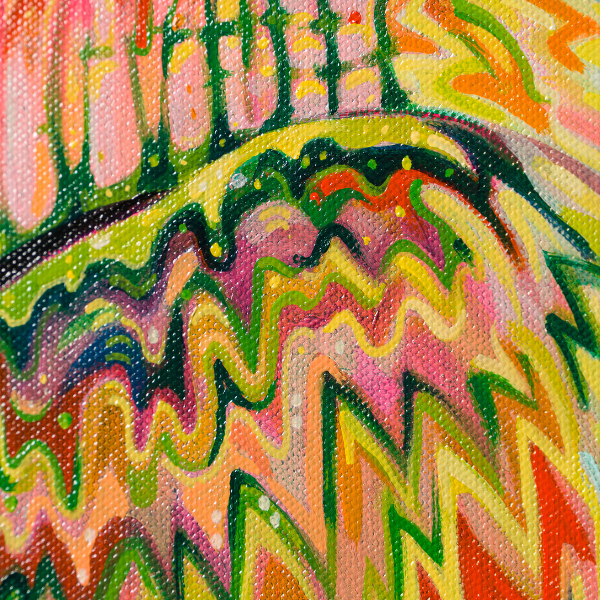 BOX ORI WWL 32325 Basil Is A Gogo 6 