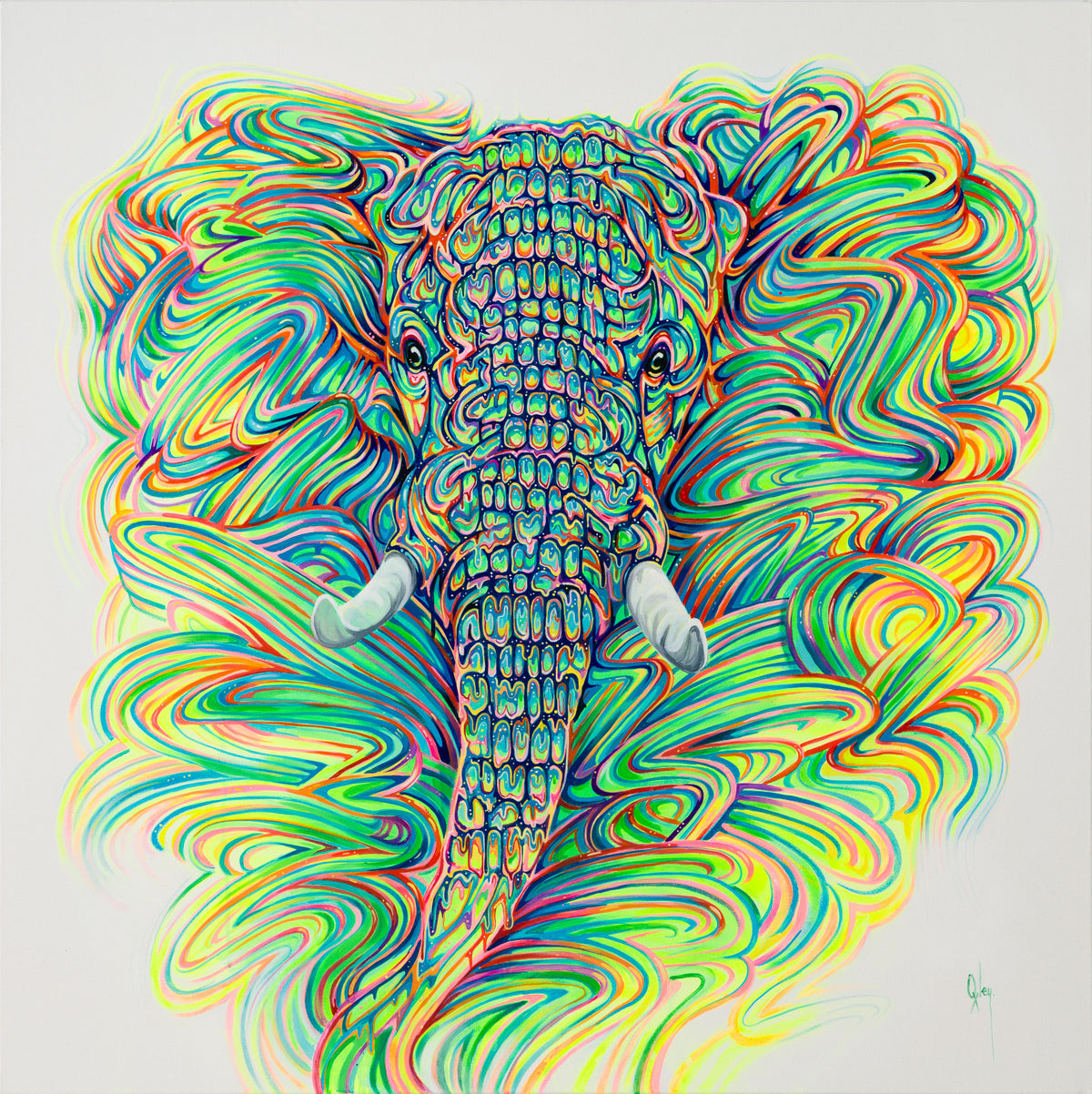 BOX ORI WWL 32326 Labyrinth 30 