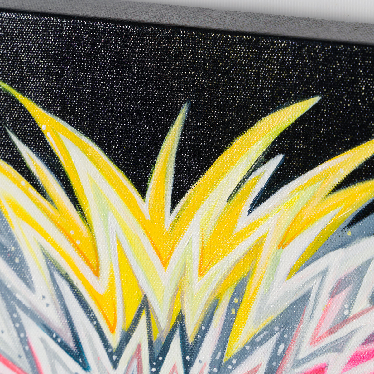 BOX ORI WWL 32570 Freedom 5 