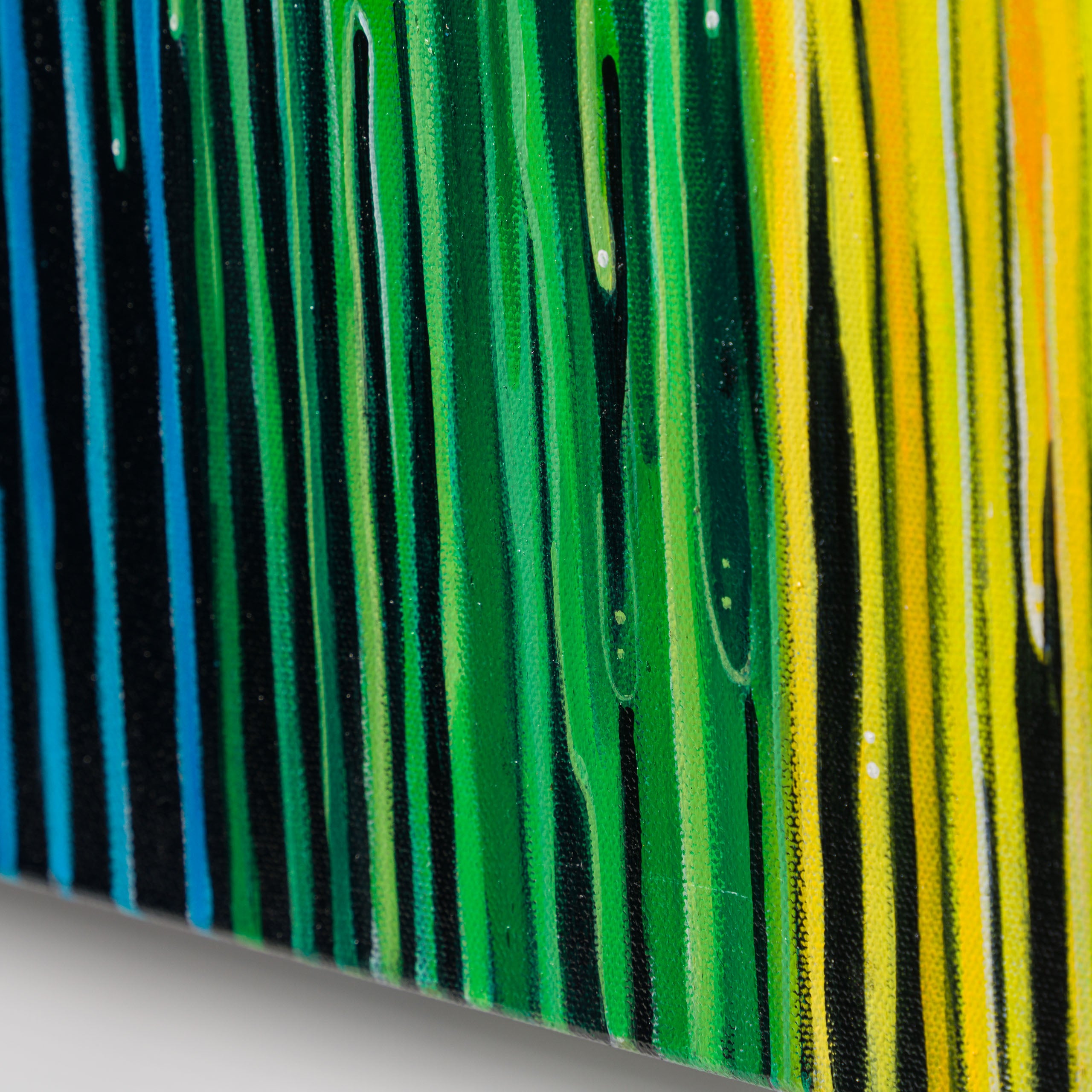 BOX ORI WWL 32570 Freedom 6 