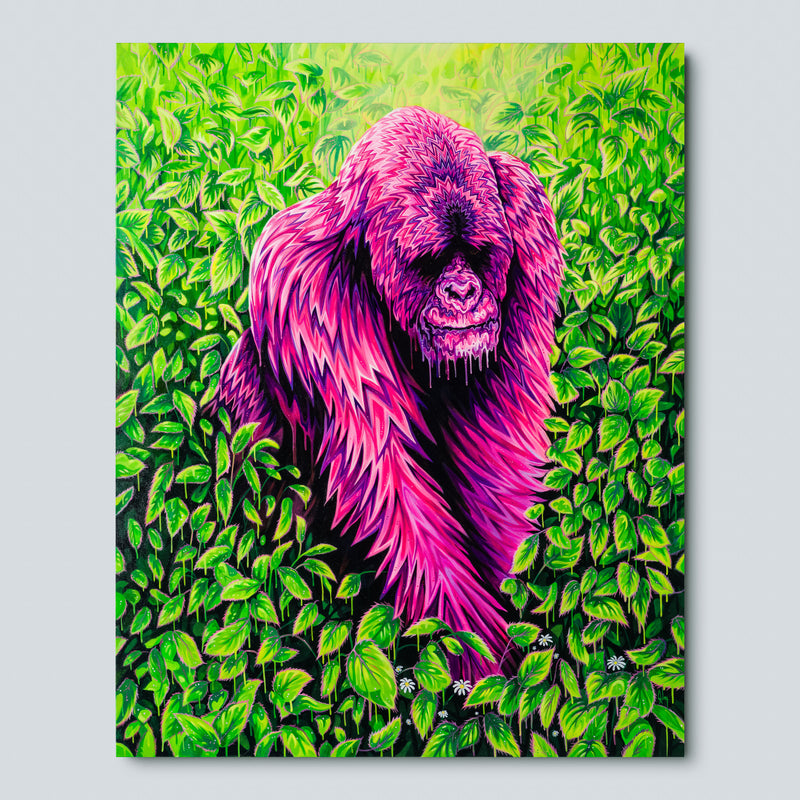 BOX ORI WWL 32574 The Alchemist 1 