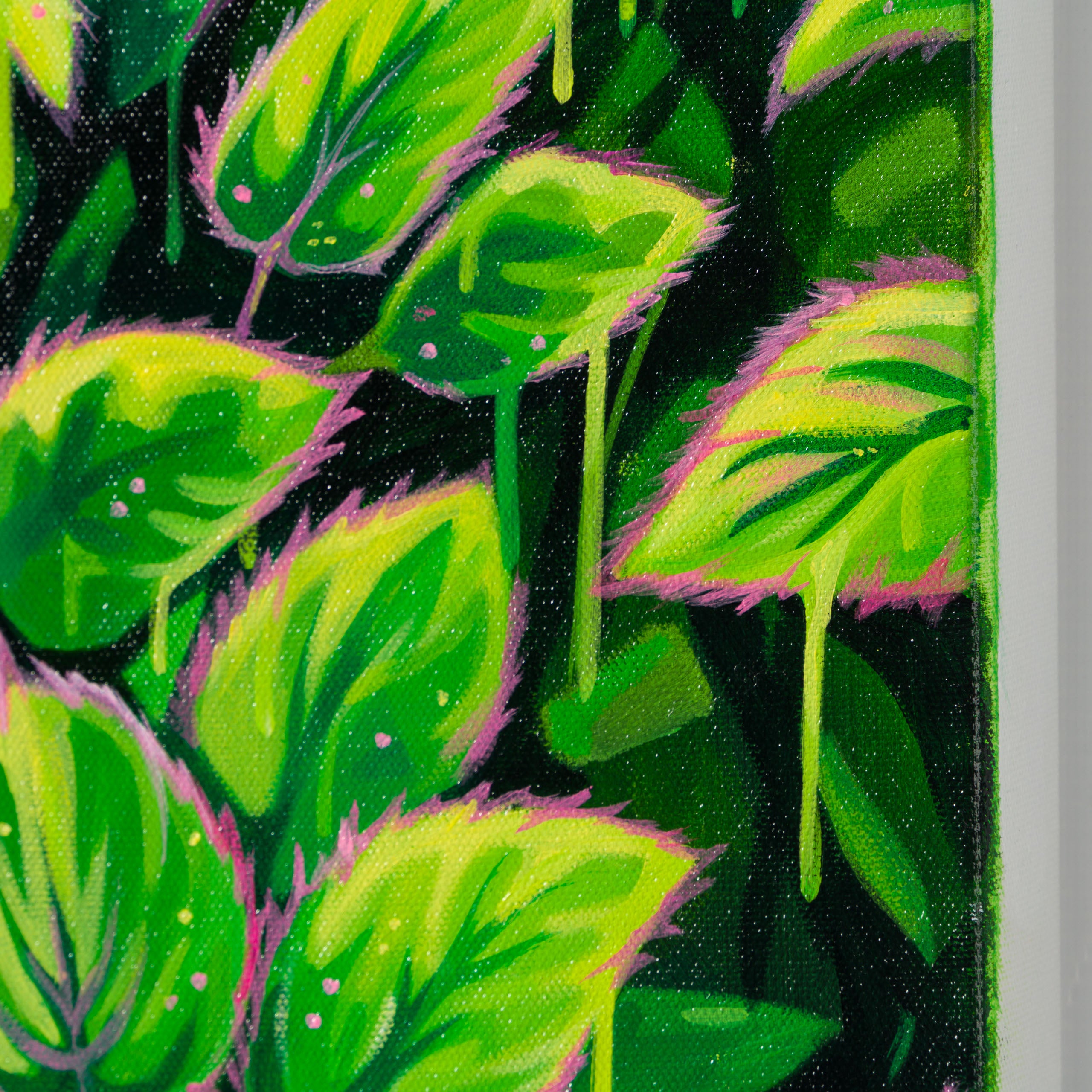 BOX ORI WWL 32574 The Alchemist 4 