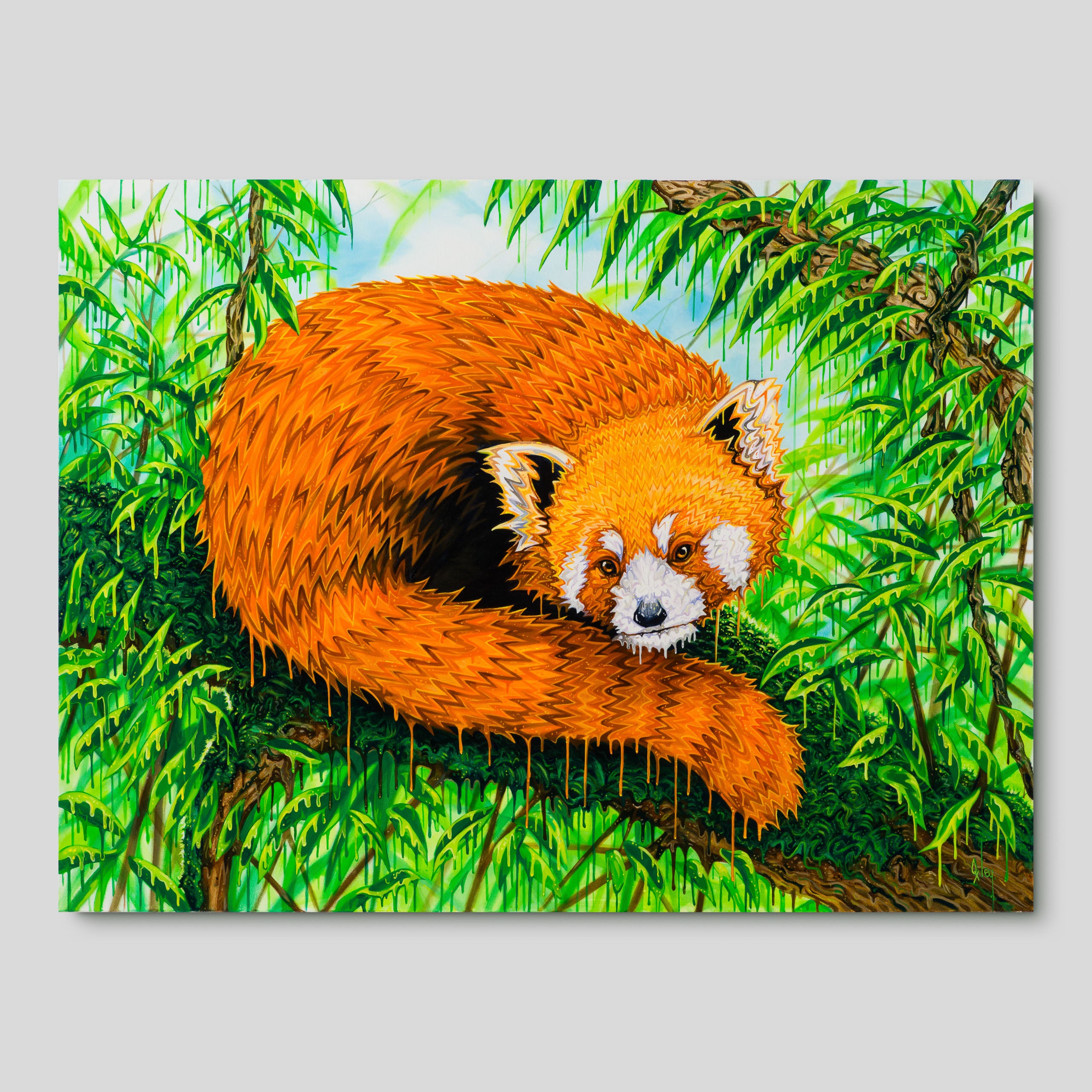 BOX ORI WWL 33206 Band Of Gold 1 