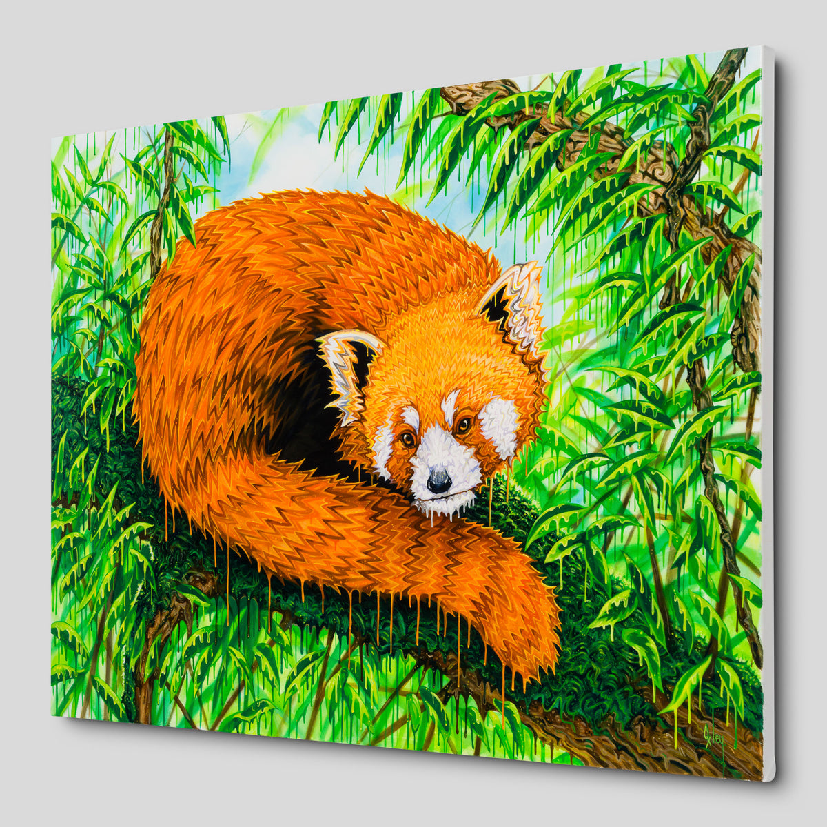 BOX ORI WWL 33206 Band Of Gold 2 