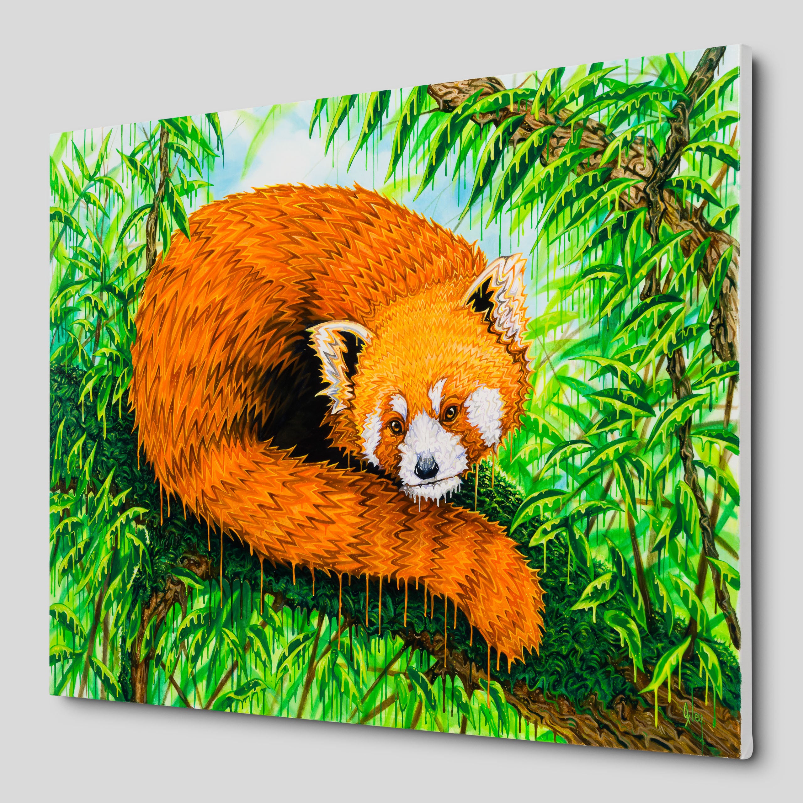 BOX ORI WWL 33206 Band Of Gold 2 